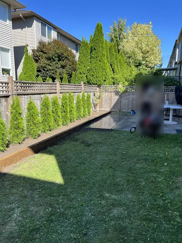 Row of new cedars in a timber bed along a lattice-top fence, beside new sod
