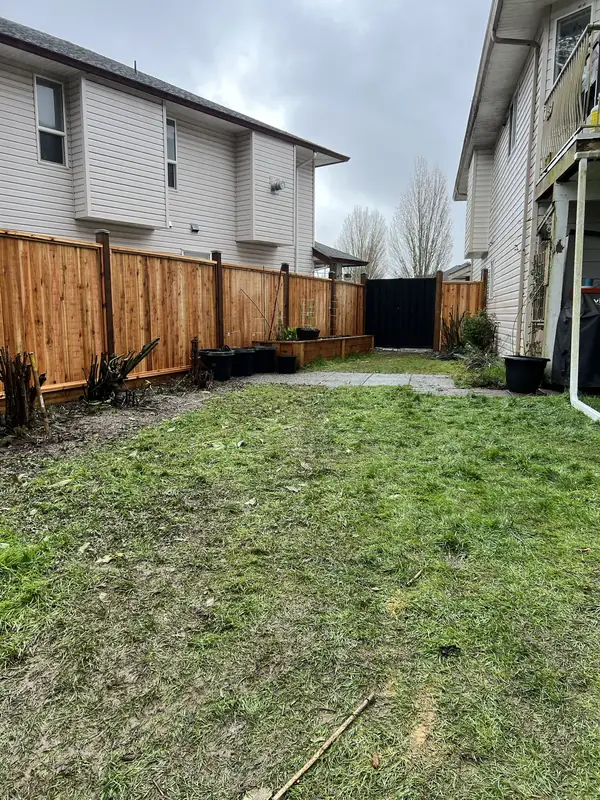 Long run of new cedar privacy fence across a sunny backyard