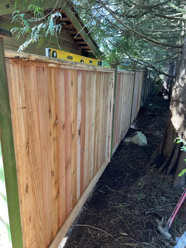 New cedar privacy fence under trees, checked with a level