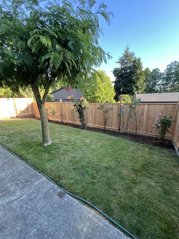 Cedar privacy fence with a rose bed in front and a new sod lawn