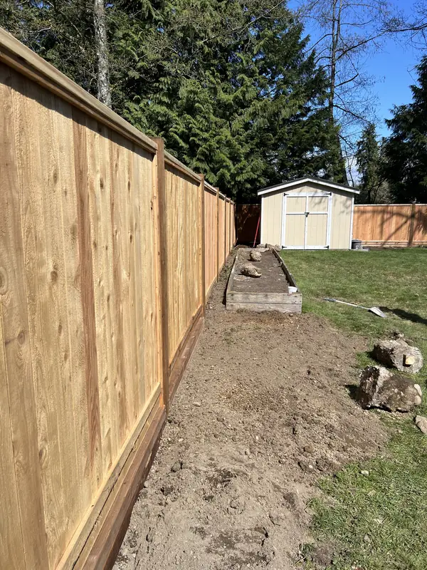 Tall cedar privacy fence running along a garden bed toward a shed