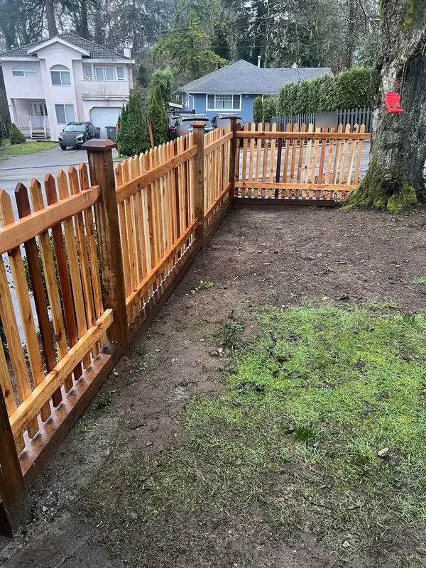 New cedar picket fence around a front yard corner, with stained posts and post caps
