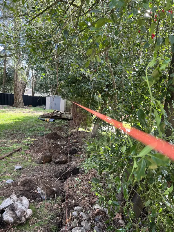 Post holes dug along a string line for a new fence