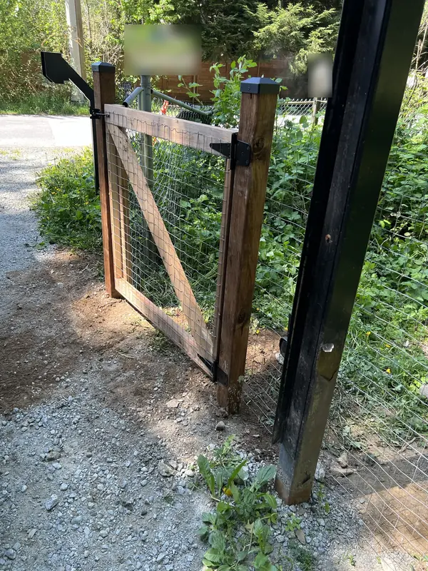 Cedar-framed gate with wire mesh and a diagonal brace, hung on new posts beside a gravel lane