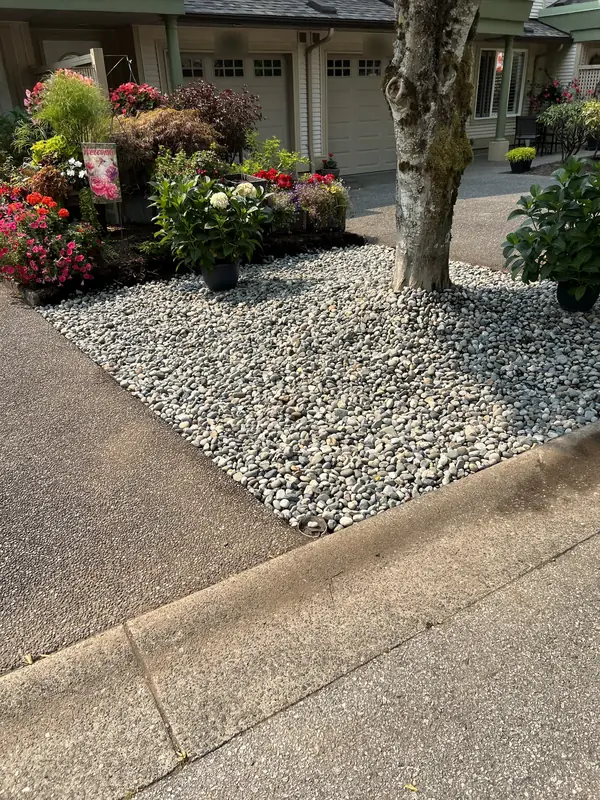 River rock bed around a tree in front of townhouse garages